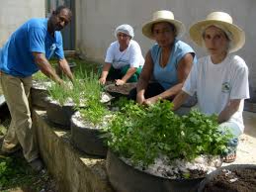 Prefeitura de Contagem anuncia novo programa de incentivo à agricultura urbana