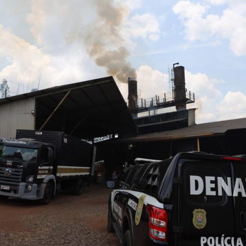 Operação Conjunta Apreende Mais de Duas Toneladas de Drogas no Bairro Industrial