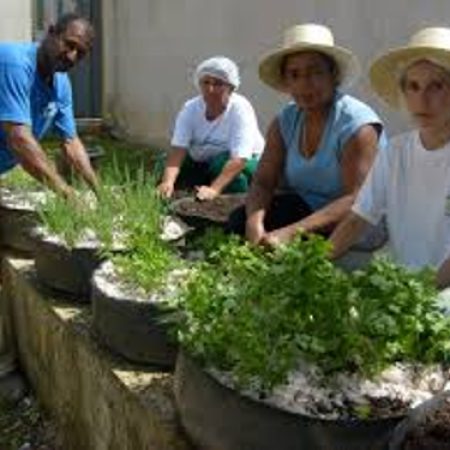 Prefeitura de Contagem anuncia novo programa de incentivo à agricultura urbana