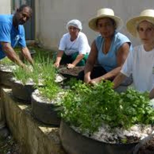 Prefeitura de Contagem anuncia novo programa de incentivo à agricultura urbana