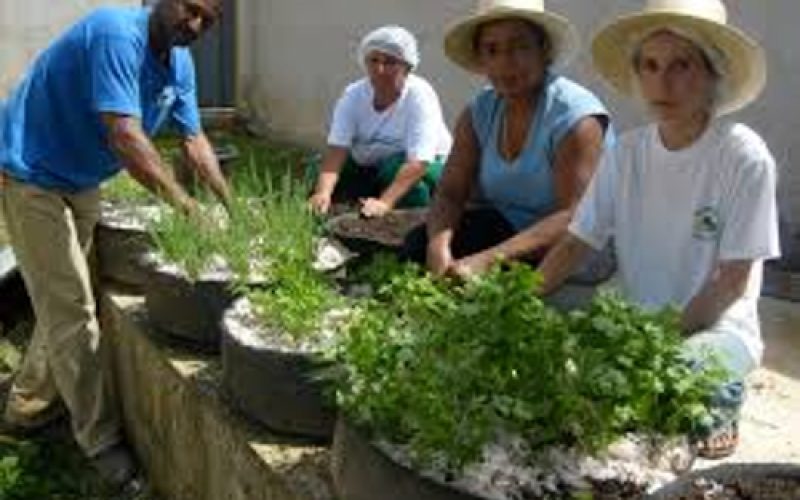Prefeitura de Contagem anuncia novo programa de incentivo à agricultura urbana